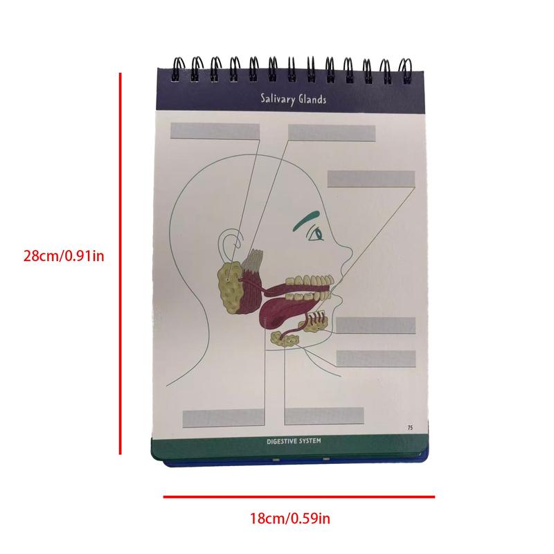 Anatomical Structure Labeling Exercise Book