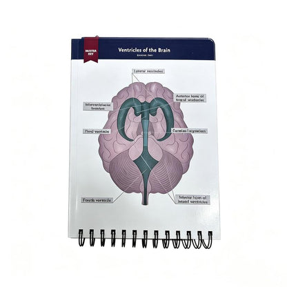 Anatomical Structure Labeling Exercise Book
