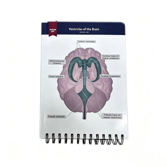 Anatomical Structure Labeling Exercise Book