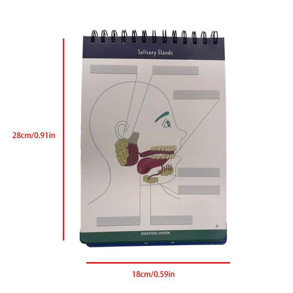 Anatomical Structure Labeling Exercise Book